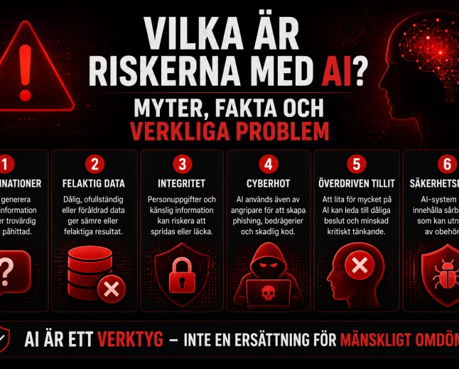 Vilka är riskerna med AI? Myter, fakta och verkliga problem